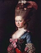 Alexander Roslin Portrait of Sophie Dorothea of Werttemberg oil painting on canvas